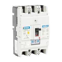 Terasaki TemBreak 2 MCCB 250 Frame 25kA 3P 160A Thermal Magnetic