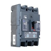 Terasaki TemBreak PRO MCCB 250 Frame 36kA 3P 125A Adj. Thermal Adj. Magnetic