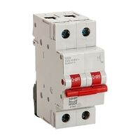 NHP MOD6 Main Switch 2Pole 100A