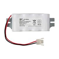 Stanilite Emergency Battery Pack 4Cell Ni Cd D Side By Side Spitfire