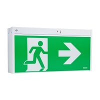 Stanilite Single Point Platinum Exit Lighting LED Jumbo Exit Ceiling Mount DS AOW