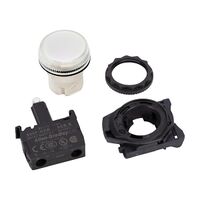 Allen-Bradley 800F Pilot Light 22.5mm Complete Round Plastic LED Module 24V AC DC Clear