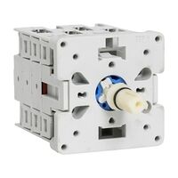 Sprecher and Schuh L2 Cam Switch Switch Body 3 Pole Changeover 20A Panel Mount