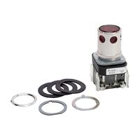 Allen-Bradley 800T PB 30.5mm Ext Head with Guard Mom. Illum Incandescent 24V AC DC 1 N.O. 1 N.C. Red