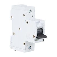 NHP DIN-T Miniature Circuit Breaker 10H 1Pole 100A B Curve