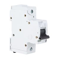 NHP DIN-T Miniature Circuit Breaker 10H 1Pole 100A C Curve