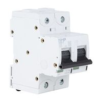 NHP DIN-T Miniature Circuit Breaker 10H 2Pole 125A B Curve