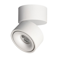 Round Surface Mount DL White Tri Color 12w