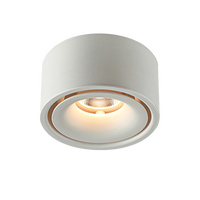 Round Surface Mount DL Black Tri Color 10w