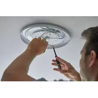 Voltage tester 150-250 volts Yes | 3.0 mm | 17 mm