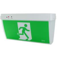 Ceiling Mount Exit