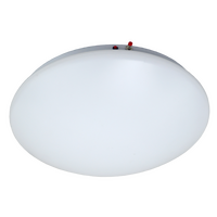 20W Emergency Oyster