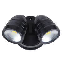 Twin Spotlight
