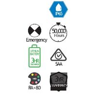 Weatherproof Emergency Downlight