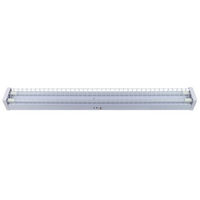 2ft T8 Tube Emergency Batten - Wireguard