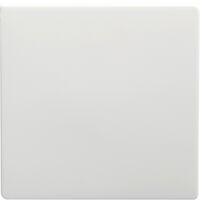 Switch Mechanism 10A 240V AC | Left Side | White by Legrand