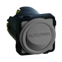 Engraved Rocker Switch 2 Way 16AX | AUTO/MAN | Urban Grey by Legrand