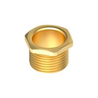 20mm Male Brass Bush Short | Durable Brass Construction | Compact Design | Standard Pipe Connection by Tradepro Australia Pty Ltd