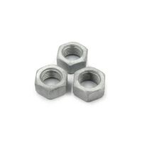 Hex Nut M12 | Zinc Plated Steel | Durable Fastening Solution | Standard Design by Tradepro Australia Pty Ltd