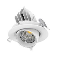 SCOOP-13 Round 13W Adjustable LED Dimmable Downlight - White