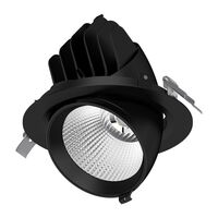 SCOOP-25 Round 25W Adjustable LED Dimmable Downlight - Black