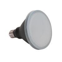 KEY PAR30-12 E27 Dimmable Frosted Led Globe