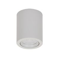 NEO-10 Round 10W Surface Mount Tiltable LED Dimmable IP20 Downlight - White
