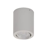 NEO-10 Round 10W Surface Mount Tiltable LED Dimmable IP20 Downlight - White