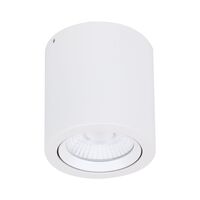 NEO-20 Round 20W Surface Mount Tiltable LED Dimmable IP20 Downlight - White