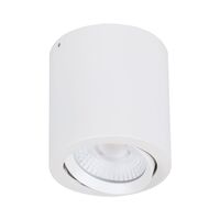 NEO-20 Round 20W Surface Mount Tiltable LED Dimmable IP20 Downlight - White