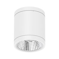 NEO-PRO Round 13W Surface Mount Dimmable LED Tricolour IP65 Downlight - White