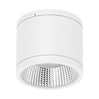 NEO-PRO Round 25W Surface Mount Dimmable LED Tricolour IP65 Downlight - white