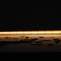 PLEX-ULTRA 10W P/M COB STRIP 24V CRI90 IP67 1M