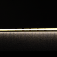 PLEX-ULTRA 10W P/M COB STRIP 24V CRI90 IP54 1M