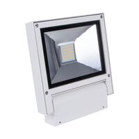 FLASH 20W  LED Floodlight IP65 240V- White
