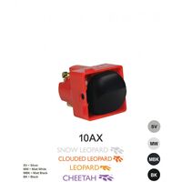 Intermediate Switch Mechanism 10AX 250V | Cat's Eye | Matt Black by Trader