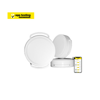 Temperature Sensor -30°C to 60°C | IP44 Rated | 5-Minute Reporting Interval | Strap Slot by Firebox