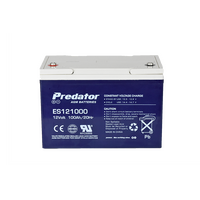 12V Sealed Lead Acid Battery | 100Ah Capacity | Maintenance-Free Design | Robust Construction by Firebox