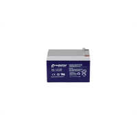 12V Sealed Lead Acid Battery | 12Ah Capacity | Maintenance-Free Operation | Durable Design by Firebox
