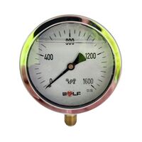 Oil Filled Pressure Gauge 100mm | 1600kPa | 3/8 BSP Thread | Stainless Steel by Firebox