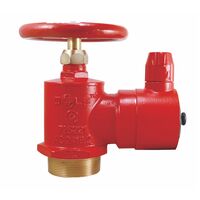 65mm BSP Male Inlet | Durable Brass Construction | Painted Red Finish | 1400 kPa Working Pressure by Firebox