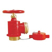 65mm QRT Outlet with 65mm BSP Male Inlet | Durable Brass | Painted Red Finish | 1400 kPa by Firebox