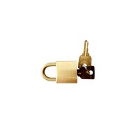 Brass Padlock 30mm with Keys | Durable Material | Compact Size | Secure Locking by Firebox