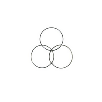 AS1851 Maintenance Tag Ring | Pack of 100 | Durable & Reusable by Firebox