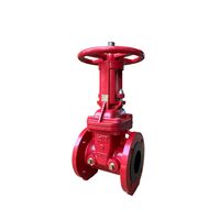 Gate Valve 100NB Rising Spindle | Table D Flange | Resilient Seat | Firebox