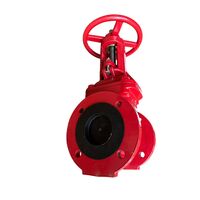 Gate Valve 100NB Rising Spindle | Table D Flange | Resilient Seat | Firebox