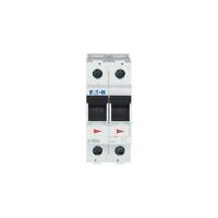 Main Load Disconnector Switch | 100 A Rated Current | IP40 Protection | Two-Pole by Eaton