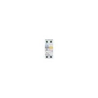 Residual Current Breaker with Overcurrent Protection 32A 30mA | Single-Pole + Neutral | IP20 by Eaton