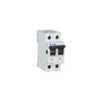 Main Load Disconnector Switch | 100 A Rated Current | IP40 Protection | Two-Pole by Eaton