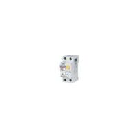 Residual Current Breaker with Overcurrent Protection 32A 30mA | Single-Pole + Neutral | IP20 by Eaton